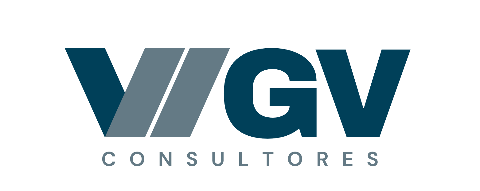 VGV Consultores